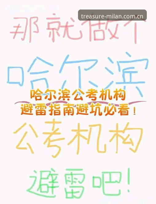 典藏版下载避坑指南：MILAN C56H版本全面解析